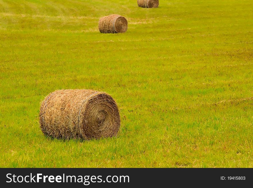 Straw bales on green field during summer. Straw bales on green field during summer.