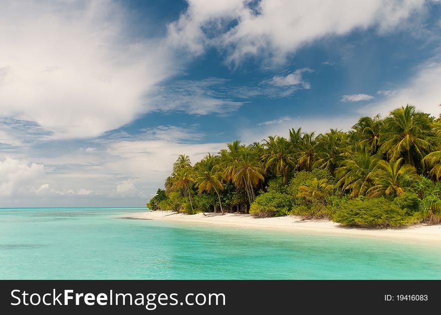 Beautiful untouched island with white sand on the beach and coconut palm trees