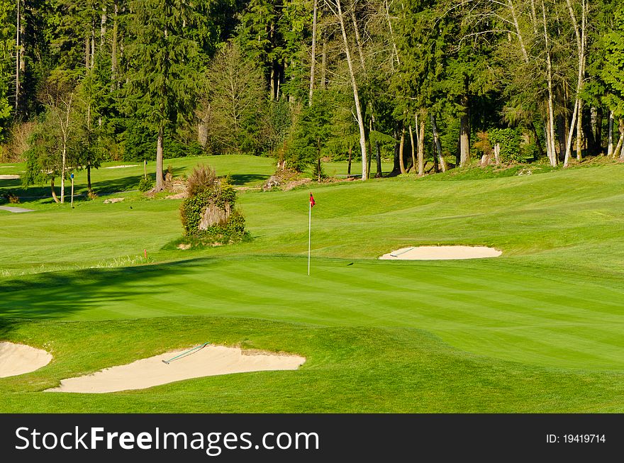 Golf place with gorgeous green and wild forest view. Golf place with gorgeous green and wild forest view.