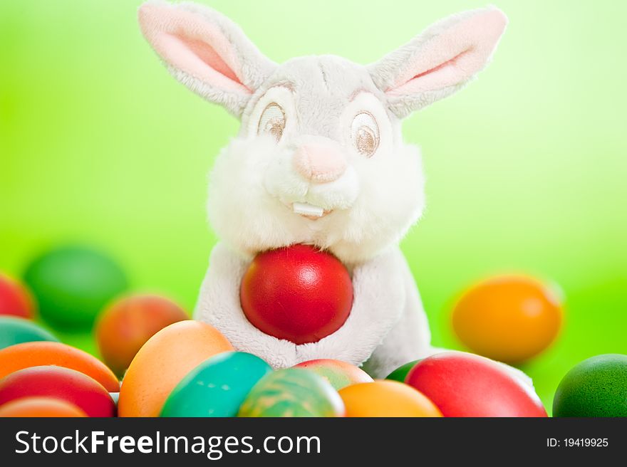 Colorful easter eggs isolated over a green background