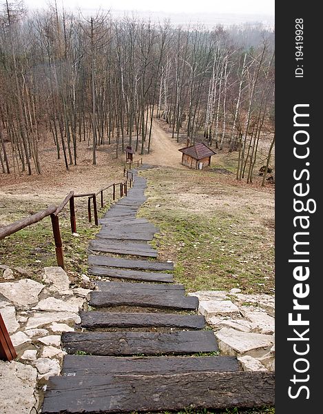 Long stairs in forest