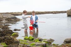 Two Boys Collecting Shells On Beach Royalty Free Stock Photos Two Boys Collecting Shells On Beach Royalty Free Stock Photos