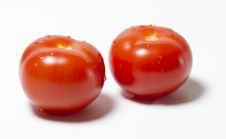 Tomatos Stock Image
