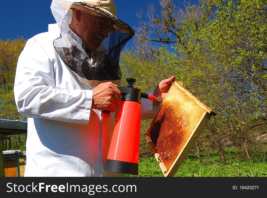 Beekeeper in his apiary