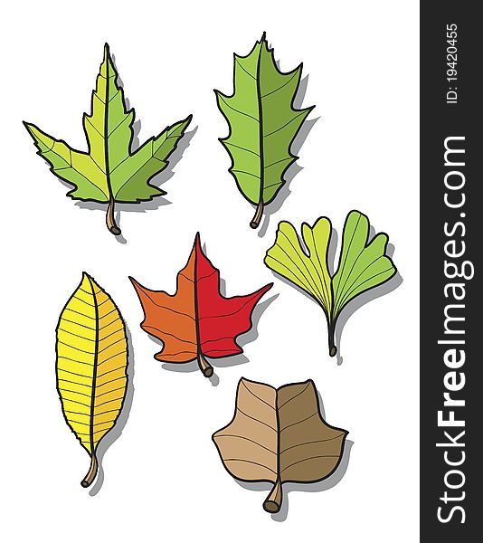 Leaves cartoon over white background, abstract vector art illustration