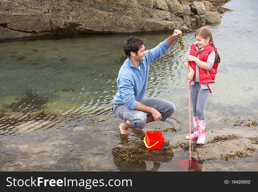 Father with daughter on beach playing with seaweed