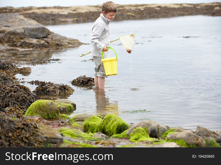 Boy on beach collecting shells