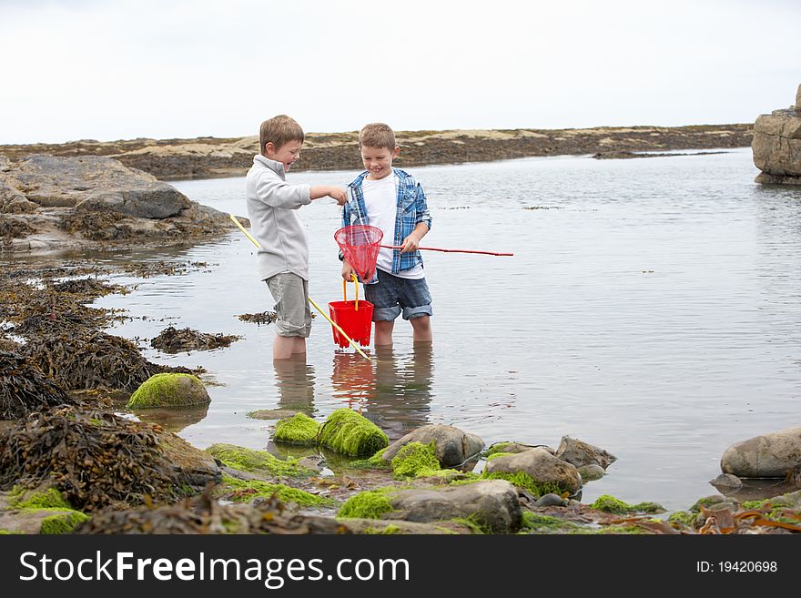 Two boys collecting shells on beach