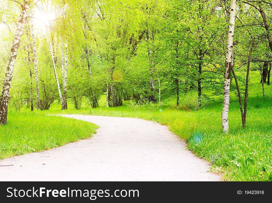 Road in the spring park with sun. Road in the spring park with sun