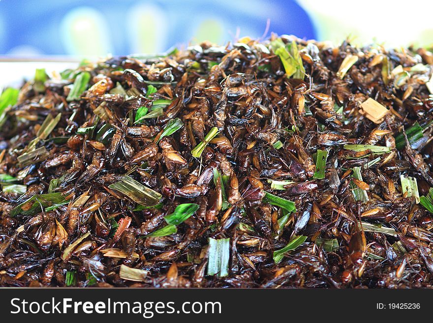 Caramel Grasshopper as snack in Thailand. Caramel Grasshopper as snack in Thailand