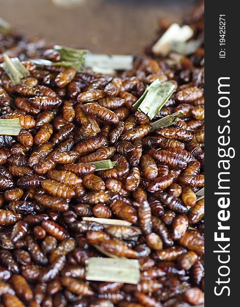 Roasted larvae, insects,food snack. Roasted larvae, insects,food snack