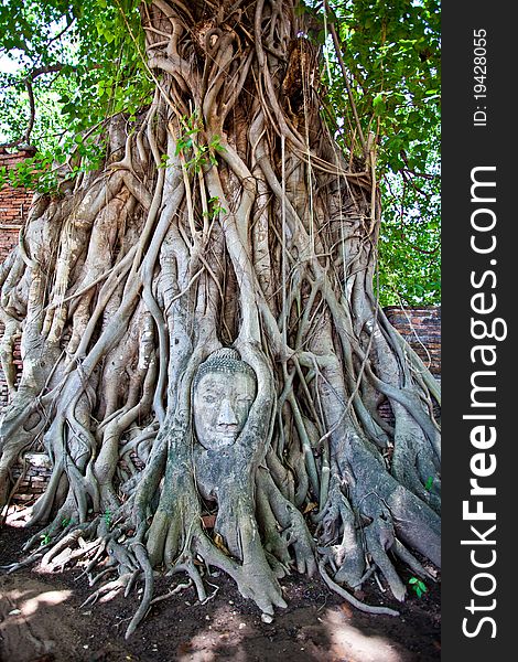 Head of Sandstone Buddha at Ayutthaya.Thailand.