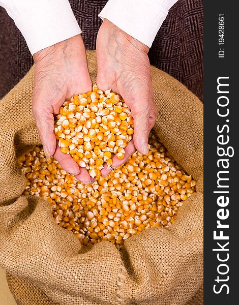 Old woman holding corn seeds in front os a sack