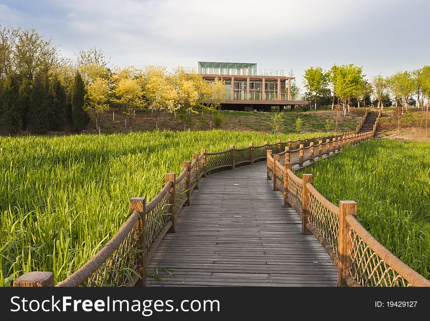 Boardwalk Across The Field