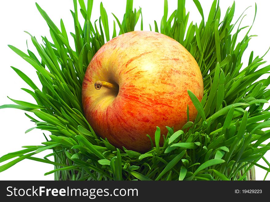 Red apple in green grass isolated on white background. Red apple in green grass isolated on white background