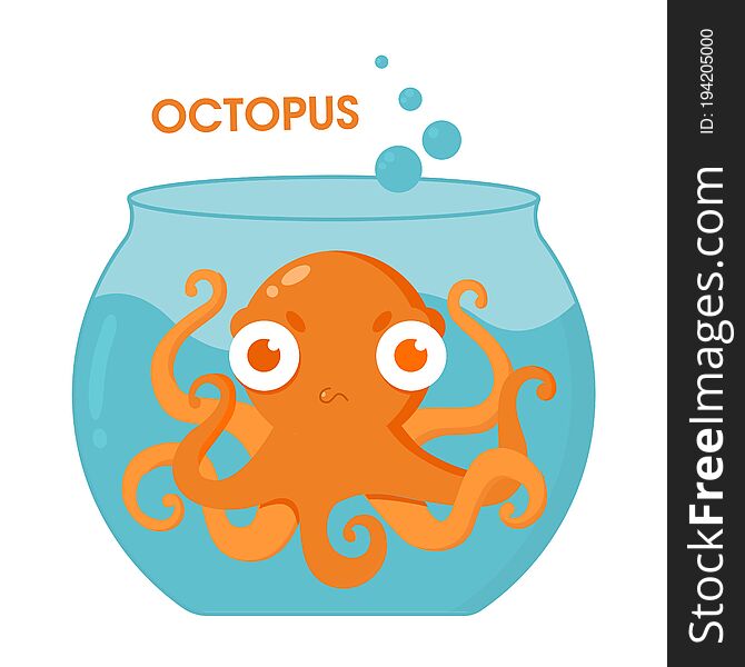 Dissatisfied Octopus In The Aquarium