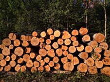 Logs With Number Signs On It Royalty Free Stock Photos Logs With Number Signs On It Royalty Free Stock Photos