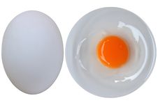 Raw Duck Egg Stock Photo