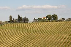 Tuscany Landscapes Stock Image