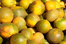 Melons Stock Photography Melons Stock Photography