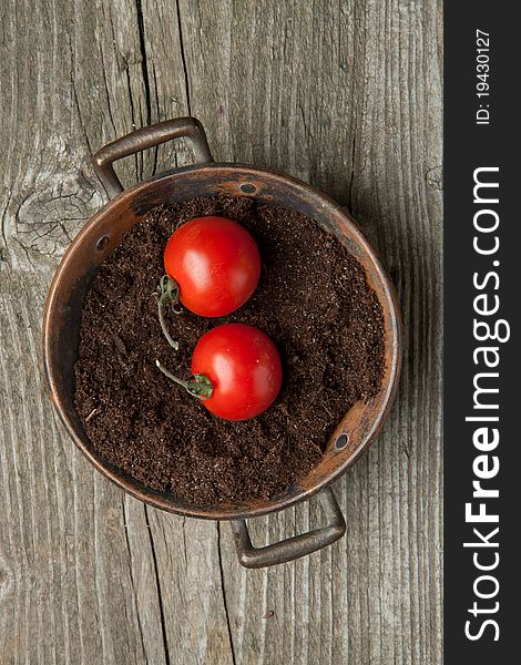 Top view on two fresh cherry tomatoes on the ground