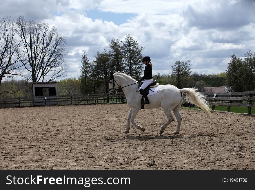 Dressage rider cantering her white horse in the arena. Dressage rider cantering her white horse in the arena.
