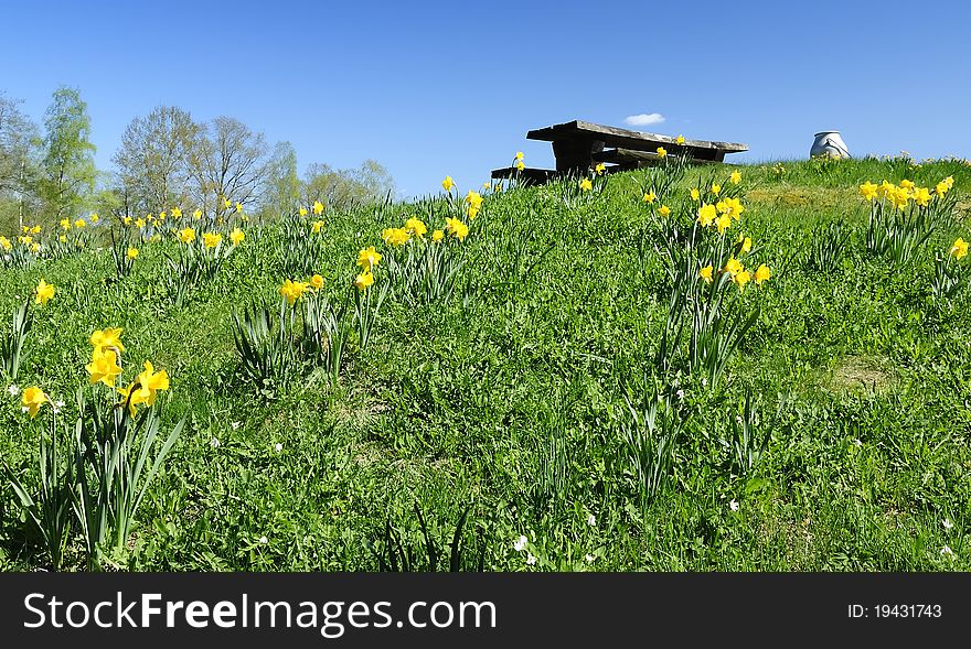 Spring hill with daffodils and symbolic farm objects. Spring hill with daffodils and symbolic farm objects