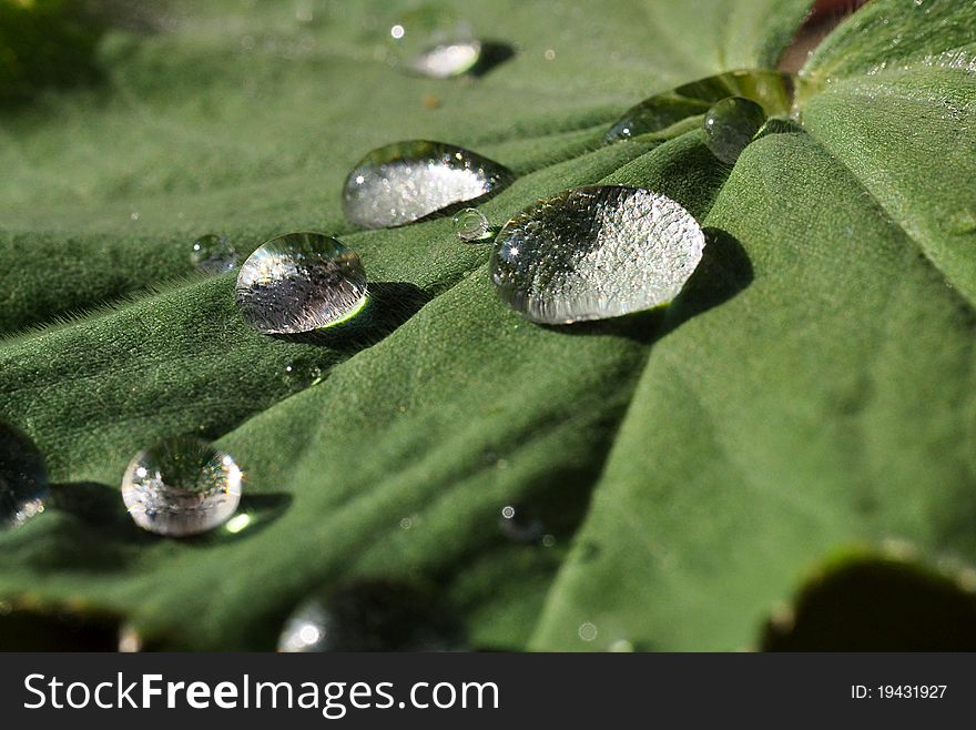Macro foto of a waterdrop on a leaf in morning light