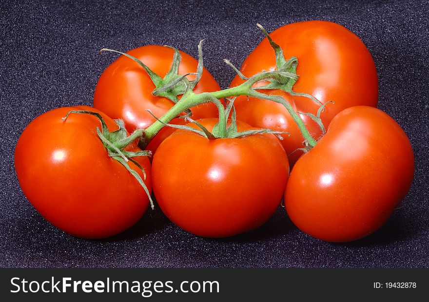 Vegetables. Five Flemish tomatoes on a branch. Vegetables. Five Flemish tomatoes on a branch.