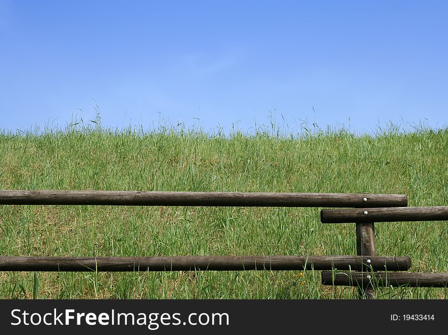 Fence on a green lawn