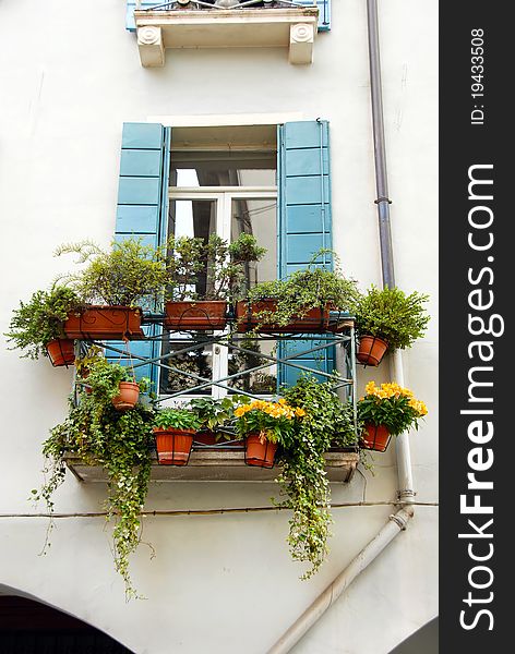 Terrace and window of building in Italy, Padova, with flowerpots and blooming flowers. Terrace and window of building in Italy, Padova, with flowerpots and blooming flowers