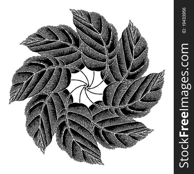 Leaves Rosette Black Original Woodcut