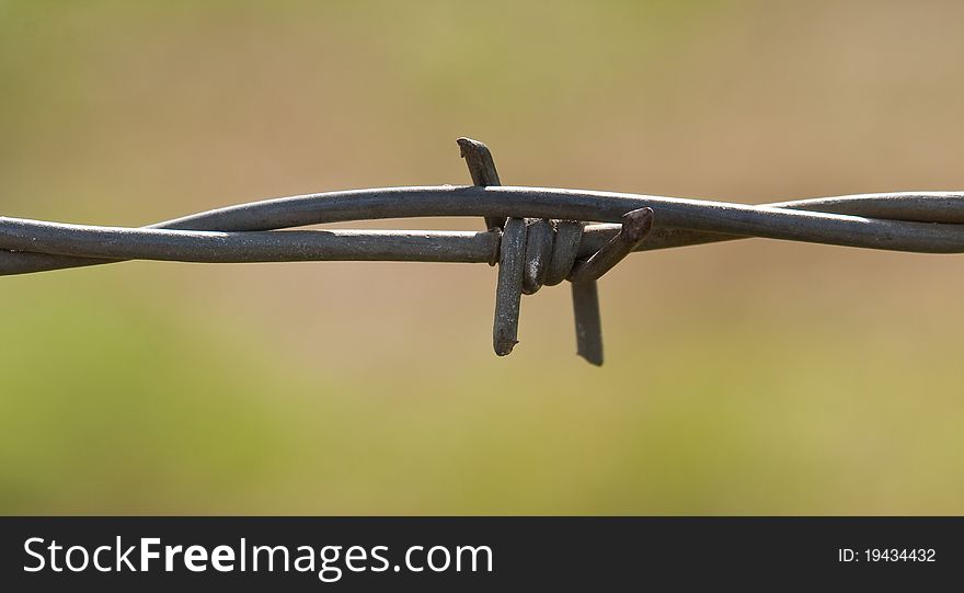 Sharp barbed wire isolated from the background barb