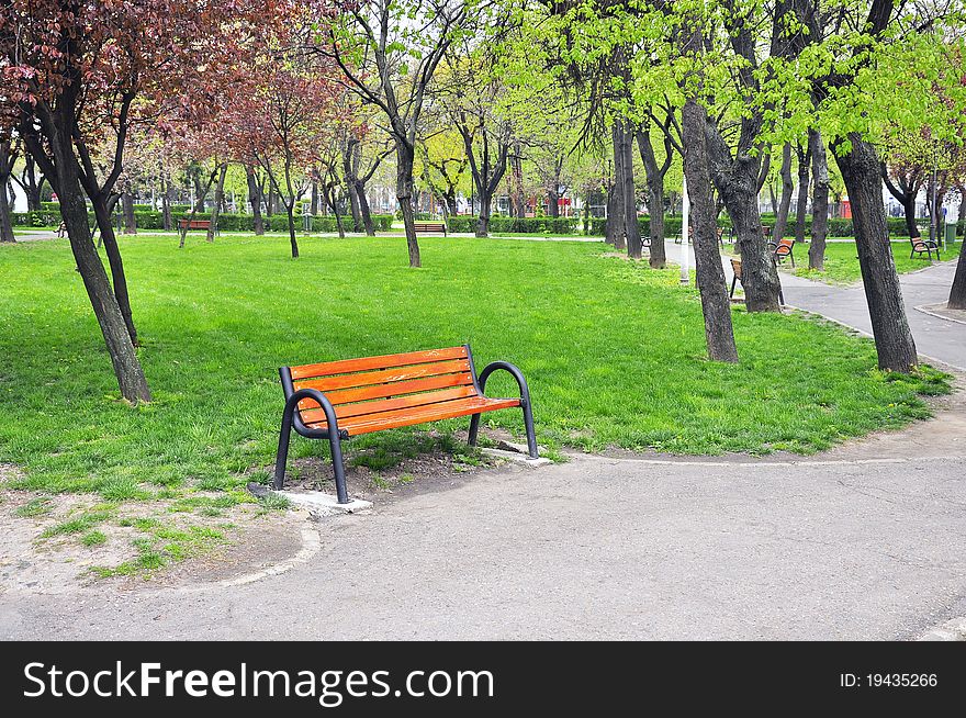 Bench on alley in a park at sunset