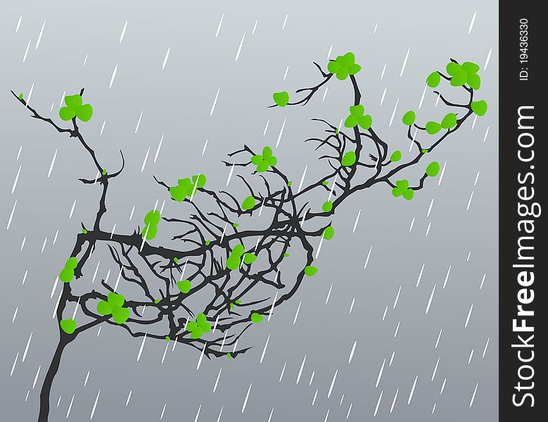 Branch with leafs against a rain. A illustration. Branch with leafs against a rain. A illustration