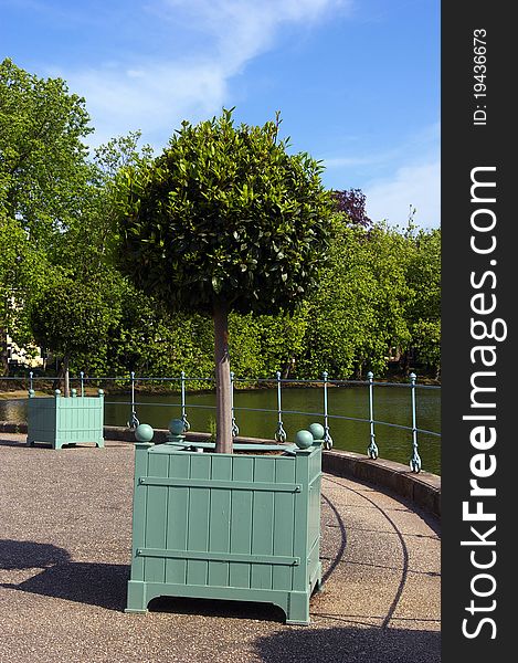 Orange tree in wooden container in the city park of a castle of Dusseldorf.