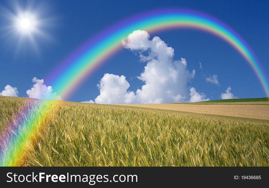 Golden Wheat Field With Blue Sky In Background