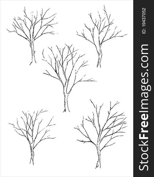 Tree sketches on white background