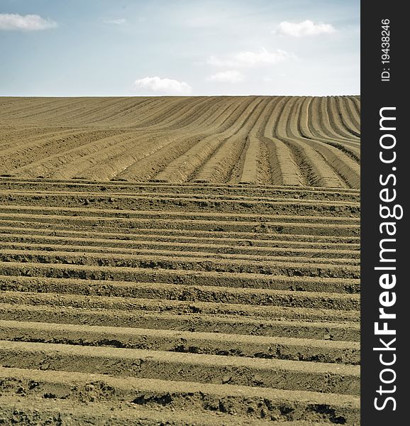 Farm field with furrows and blue sky