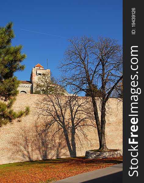 Shadow from tree on Kalemegdan fortress wall over blue sky in Belgrade, Serbia, at autumn. Shadow from tree on Kalemegdan fortress wall over blue sky in Belgrade, Serbia, at autumn