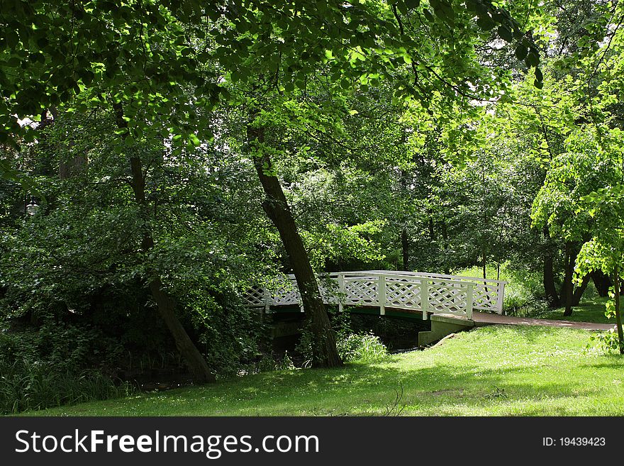 Beautiful look of a park - summer time.