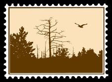 Bird On Postage Stamps Royalty Free Stock Photo