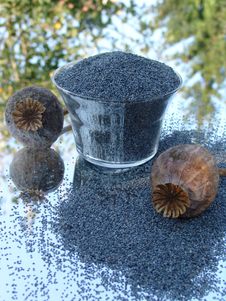 Poppy Seeds Royalty Free Stock Photo Poppy Seeds Royalty Free Stock Photo