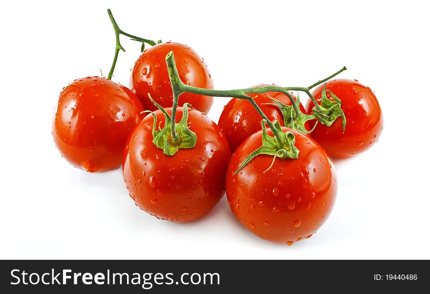 Group of tomatoes on white background