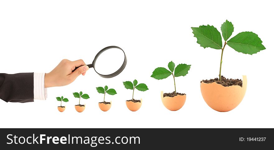 Fresh  and magnifying glass isolated  .