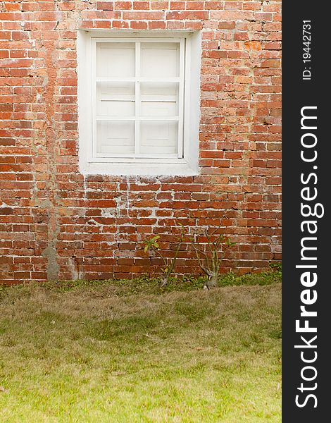 Red brick Wall with white window and grass