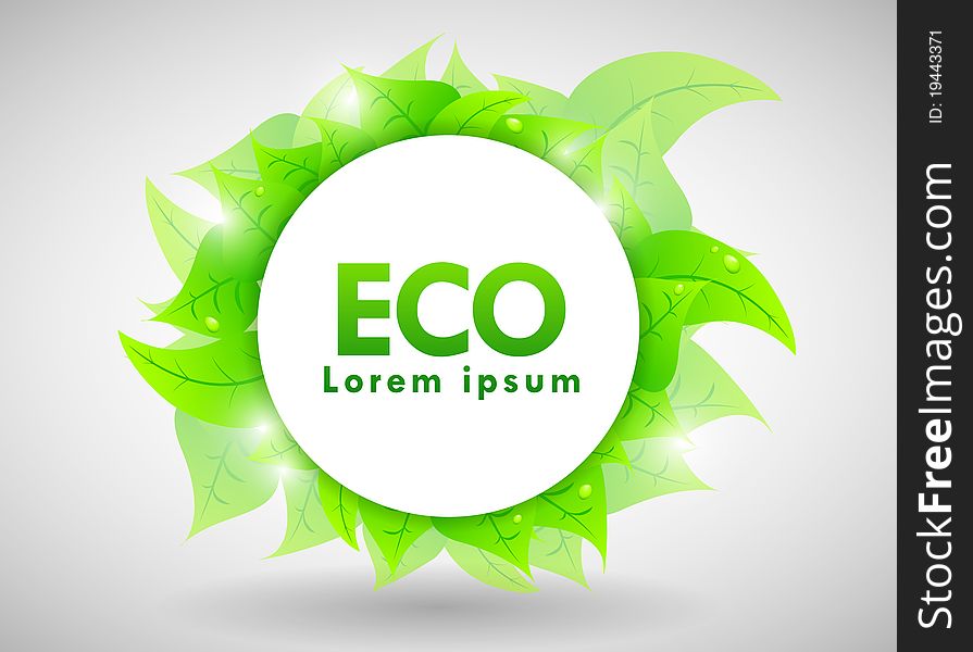 Eco Design