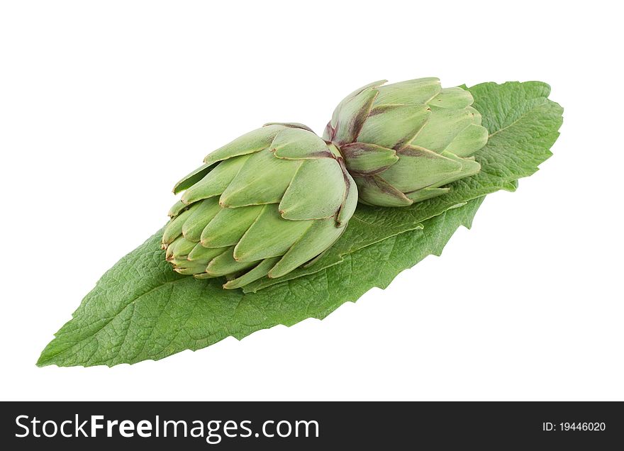 Artichoke fresh and leaves. Isolated on white with clipping path