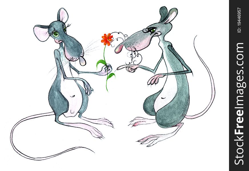 Two rats on a white background: isolated illustration