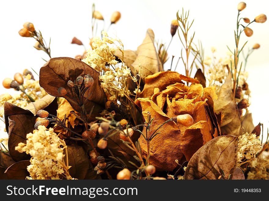 Image of flower is dried. Image of flower is dried